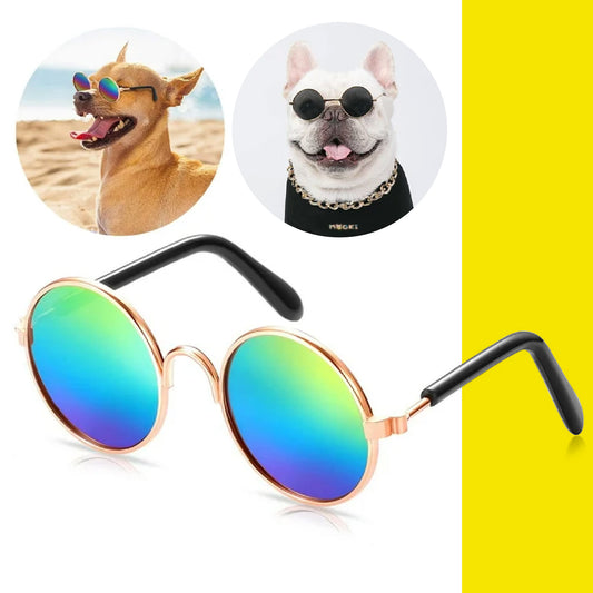 GAFAS DE SOL PARA PERROS